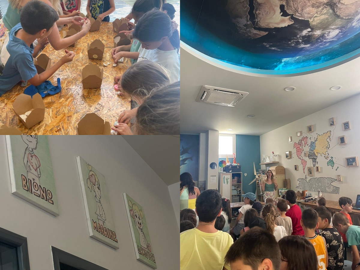camp collage